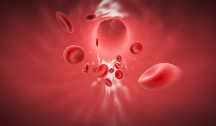 Blutfluss in einer Vene